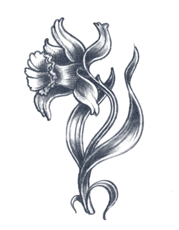 Daffodil Tattoo – Tattooed Now !
